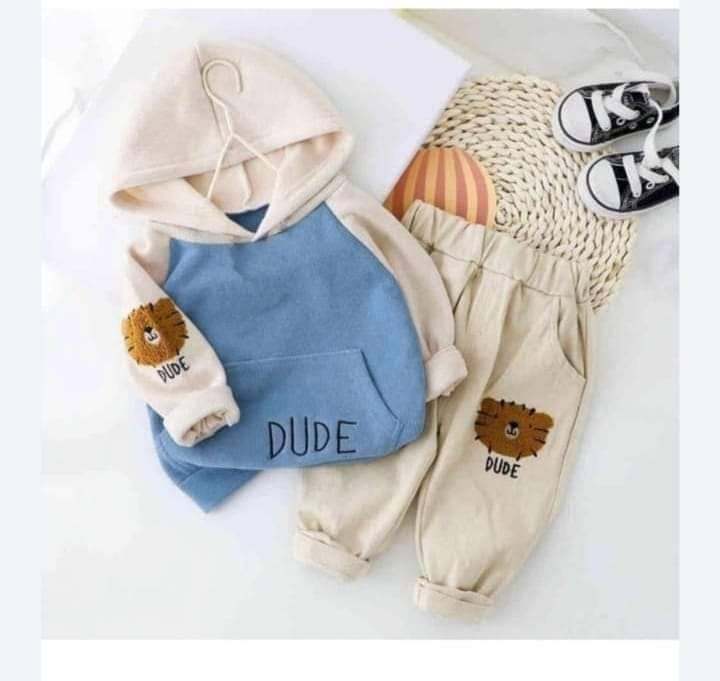 Ambrodiary Dude Premium Hoodie and Joggers