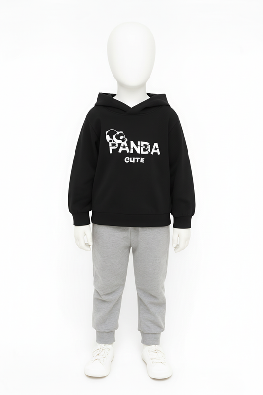 Panda Winter Premium Hoodie and Joggers